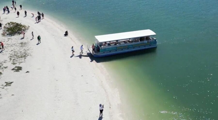 Clearwater Beach: Dolphin & Island Sandbar Cruise - Dolphin watching with a free return promise