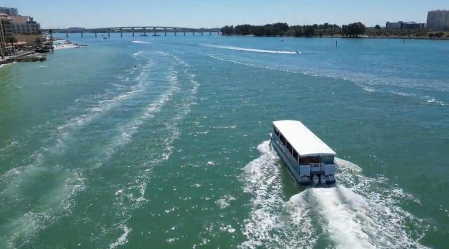 Clearwater Beach: Dolphin & Island Sandbar Cruise - BYOB, snacks, and what to pack