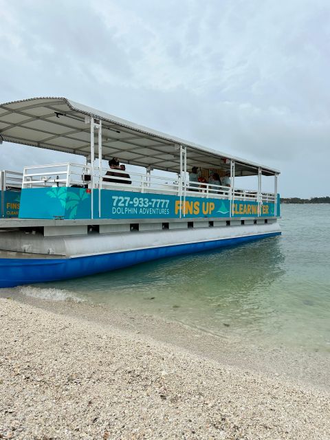 Clearwater Beach: Dolphin & Island Sandbar Cruise - The guides make the difference