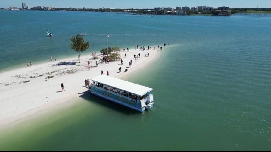 Clearwater Beach: Dolphin & Island Sandbar Cruise - Meeting at 25 Causeway Boulevard