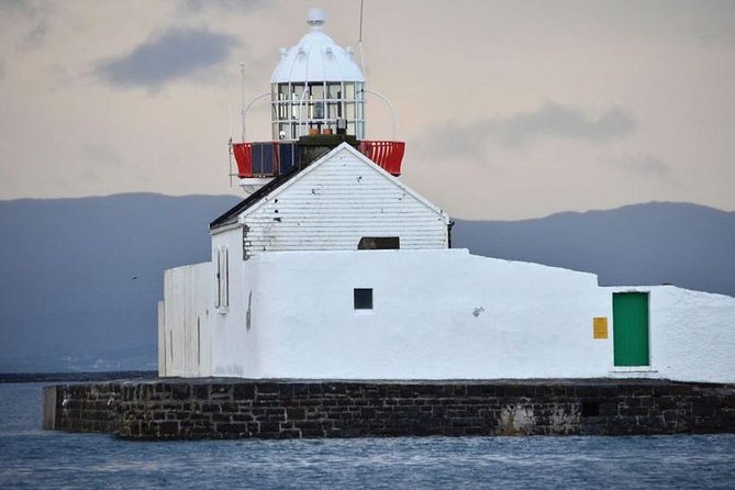 Clew Bay Cruise, Westport ( 90 minutes ) - Oyster farms and the working bay