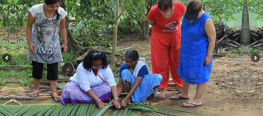 Cochin: Backwater Village Eco Boat Cruise with Lunch - Five details that shape the experience