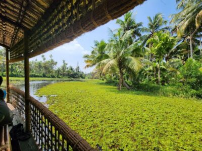 Cochin: Backwater Village Eco Boat Cruise with Lunch