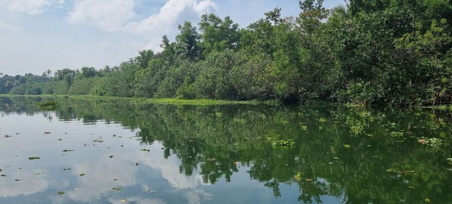 Cochin: Backwater Village Eco Boat Cruise with Lunch - Who should book, and who should think twice