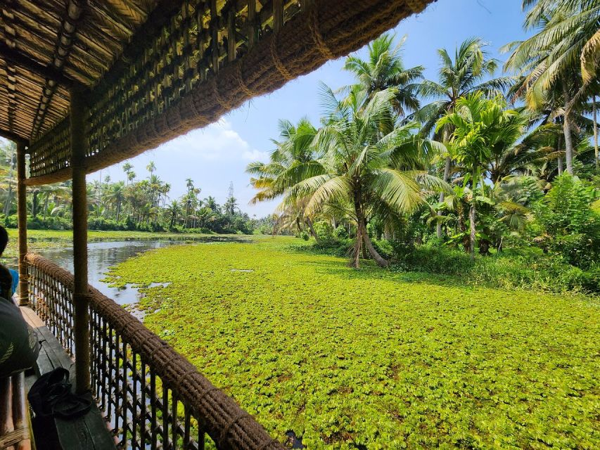 Cochin: Backwater Village Eco Boat Cruise with Lunch - Getting from Fort Kochi to the canals