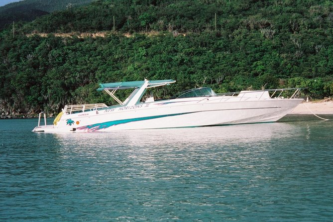 Cocktail Sunset Cruise from Sapphire Beach Resort - Music and the tone on board