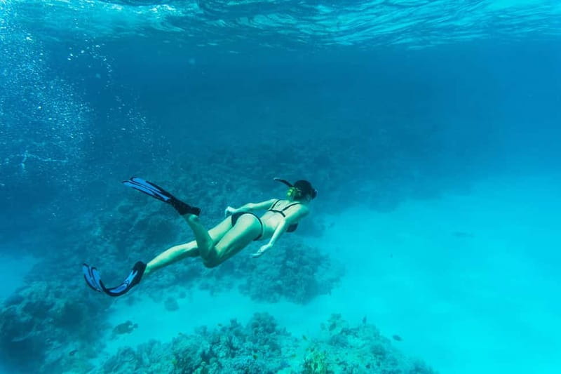 Comino: Blue Lagoon, Crystal Lagoon and Sea Caves Boat Tour - What the crew adds to the experience
