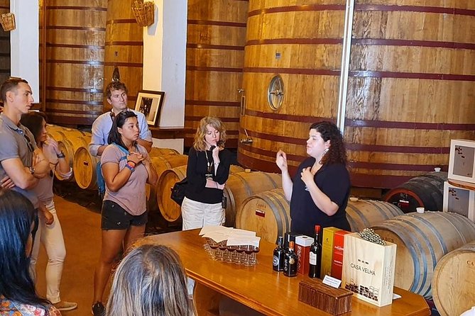 Complete Douro Valley Wine Tour with Lunch, Wine Tastings and River Cruise - Lunch with Douro wine, not just a snack between tastings