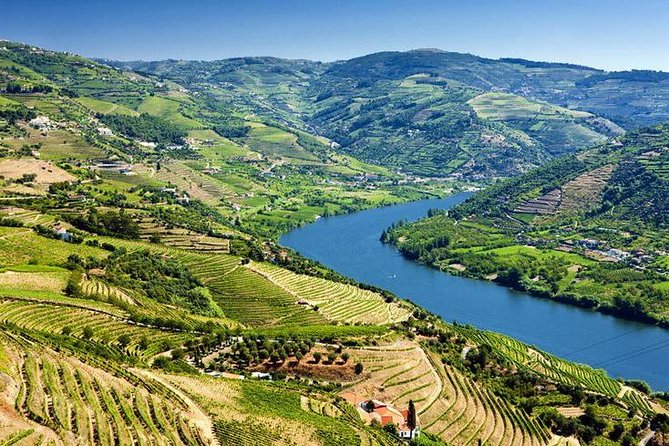 Complete Douro Valley Wine Tour with Lunch, Wine Tastings and River Cruise - Guides can shape the entire day