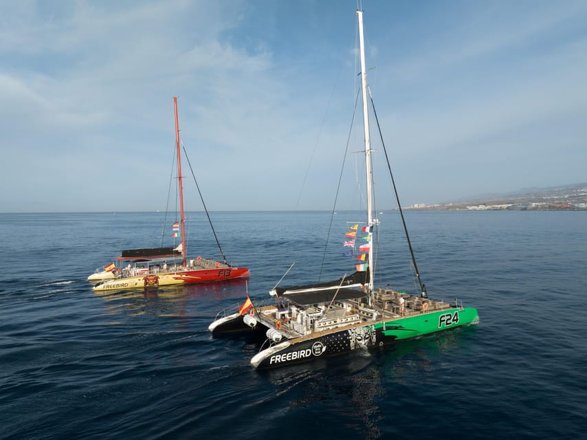 Costa Adeje: Masca and Los Gigantes Whale Watching Cruise - The best parts of this Tenerife cruise