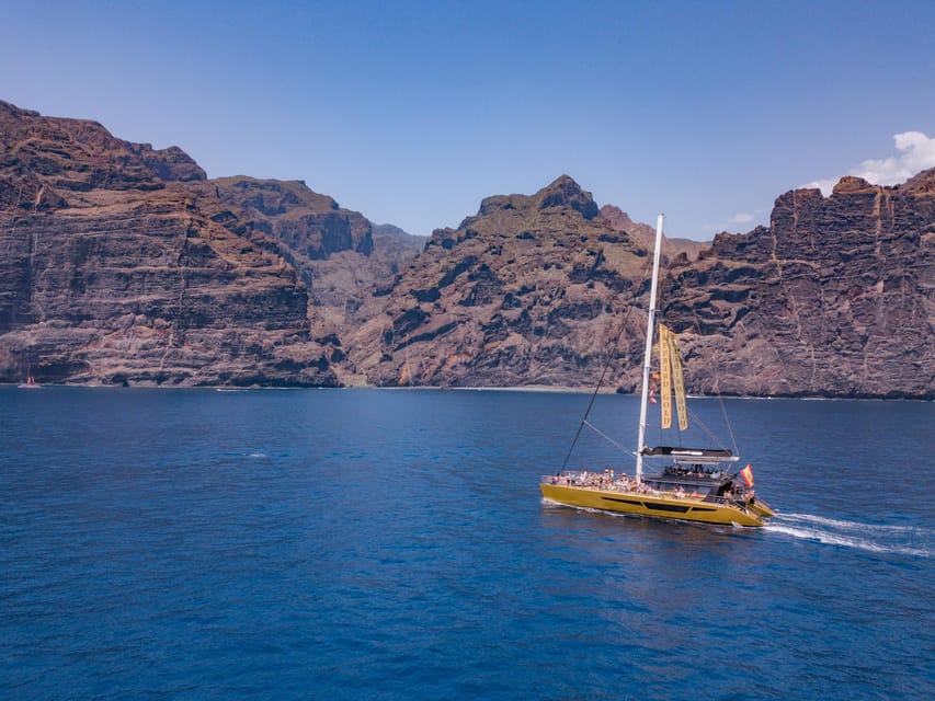 Costa Adeje: Masca and Los Gigantes Whale Watching Cruise - Watching pilot whales and dolphins in the wild