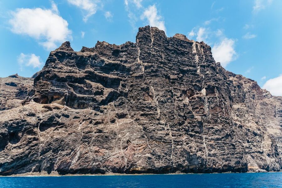 Costa Adeje: Masca and Los Gigantes Whale Watching Cruise - Who will enjoy this cruise most