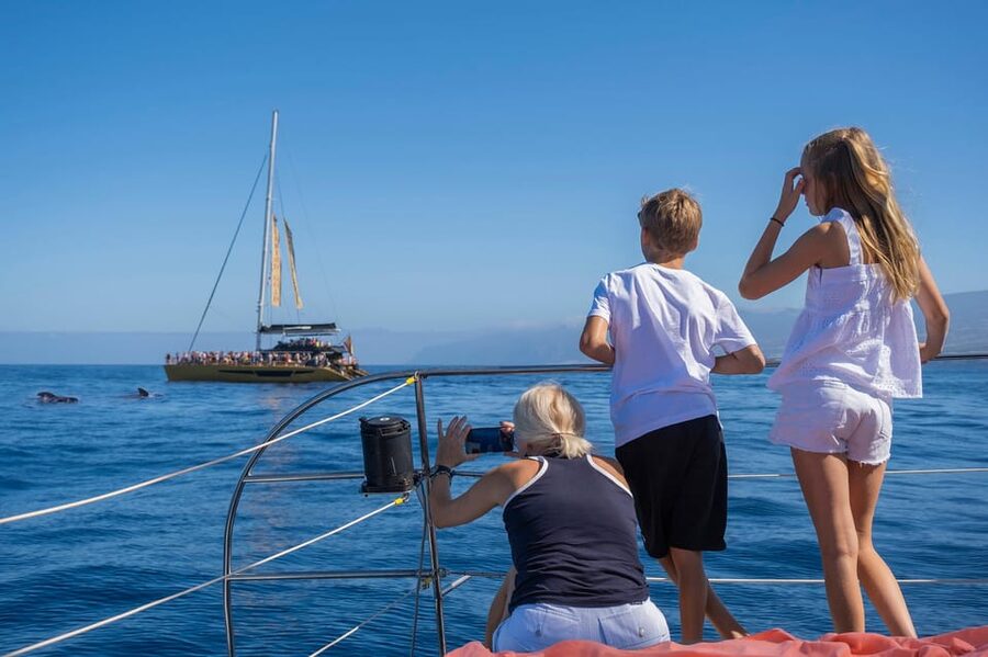 Costa Adeje: Masca and Los Gigantes Whale Watching Cruise - Practical details before you book