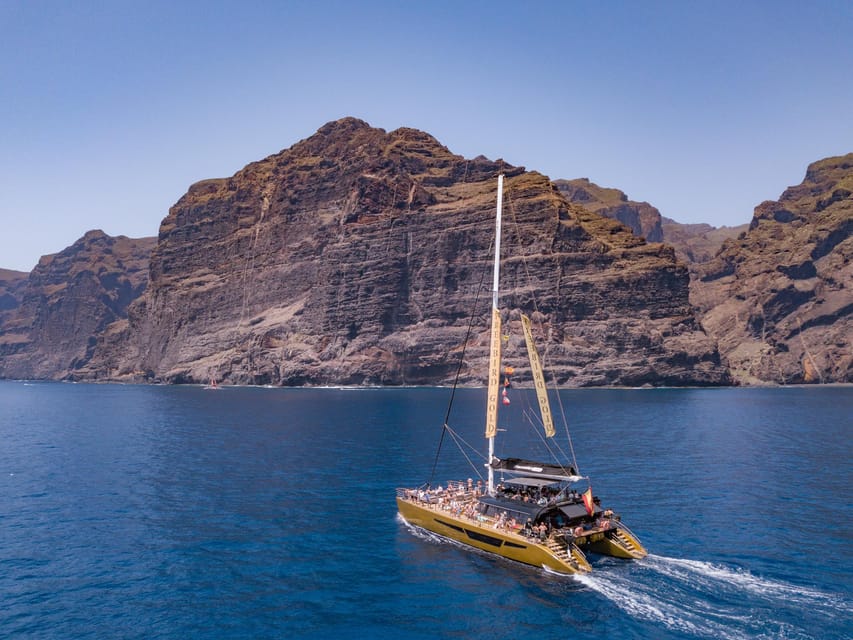 Costa Adeje: Masca and Los Gigantes Whale Watching Cruise - Should you book the Freebird catamaran cruise?