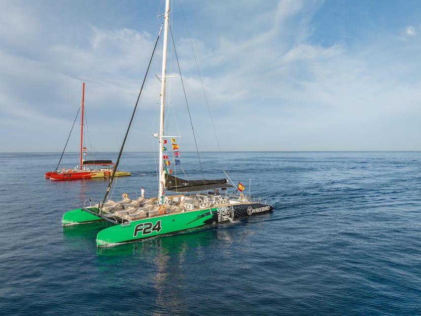 Costa Adeje: Masca and Los Gigantes Whale Watching Cruise - The sail toward Tenerife’s whale and dolphin channel