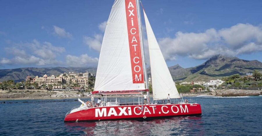 Costa Adeje: Whale and Dolphin Cruise with Food and Pickup - Leaving Puerto Colon on the red Maxicat