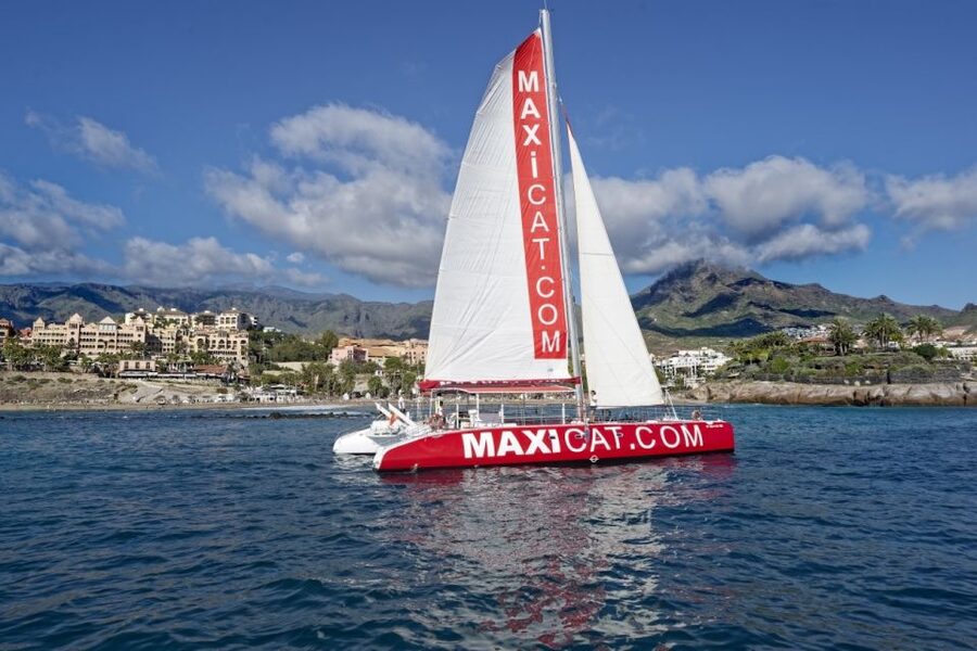 Costa Adeje: Whale and Dolphin Cruise with Food and Pickup - Tips for making the trip better