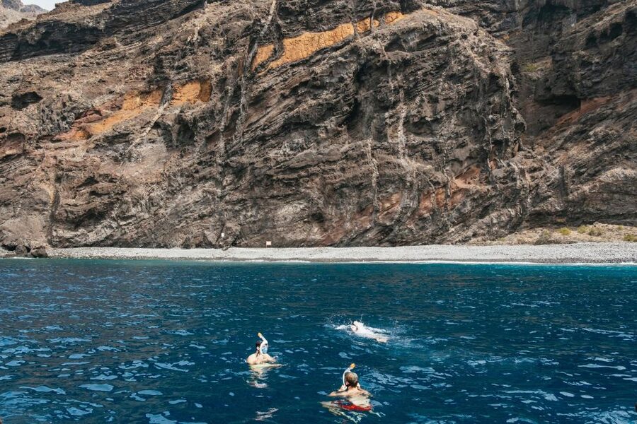 Costa Adeje: Whale & Dolphin Eco-Cruise with Snacks & Drinks - Key points to know before you go