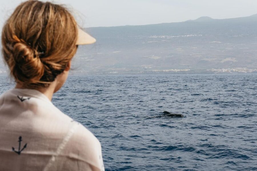 Costa Adeje: Whale & Dolphin Eco-Cruise with Snacks & Drinks - Hearing the ocean below the boat