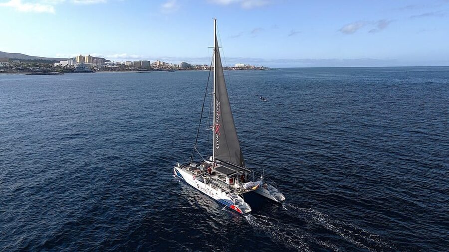 Costa Adeje: Whale & Dolphin Eco-Cruise with Snacks & Drinks - Food, drinks, and comfort onboard