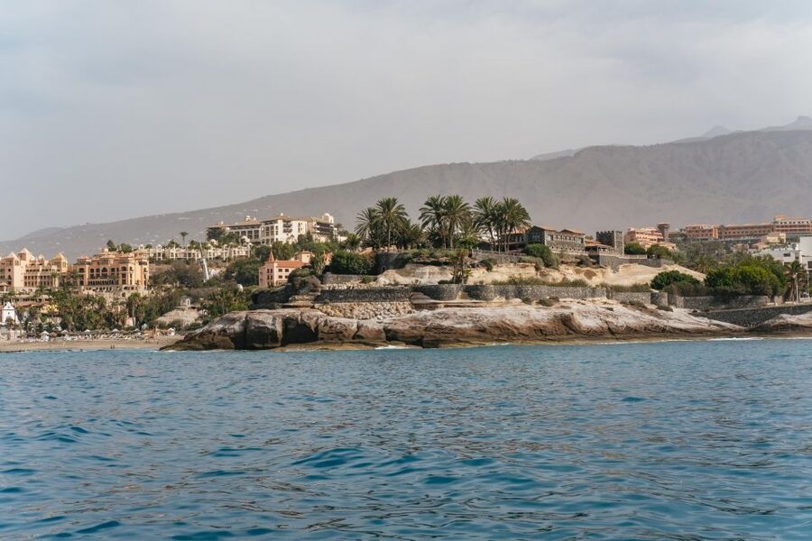 Costa Adeje: Whale & Dolphin Eco-Cruise with Snacks & Drinks - The hard truth about seasickness