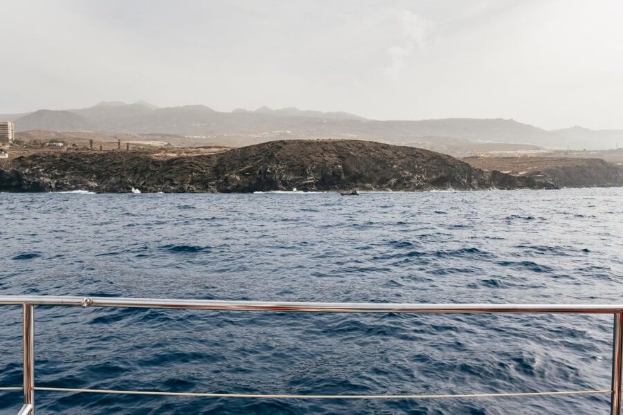 Costa Adeje: Whale & Dolphin Eco-Cruise with Snacks & Drinks - Who will enjoy this cruise most?