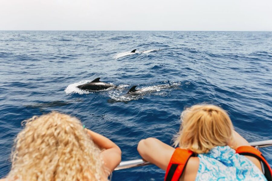Costa Adeje: Whale Watching Catamaran Tour with Drinks - Searching the fish farms for dolphins