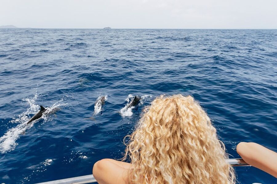 Costa Adeje: Whale Watching Catamaran Tour with Drinks - Drinks, sandwiches, and the onboard mood