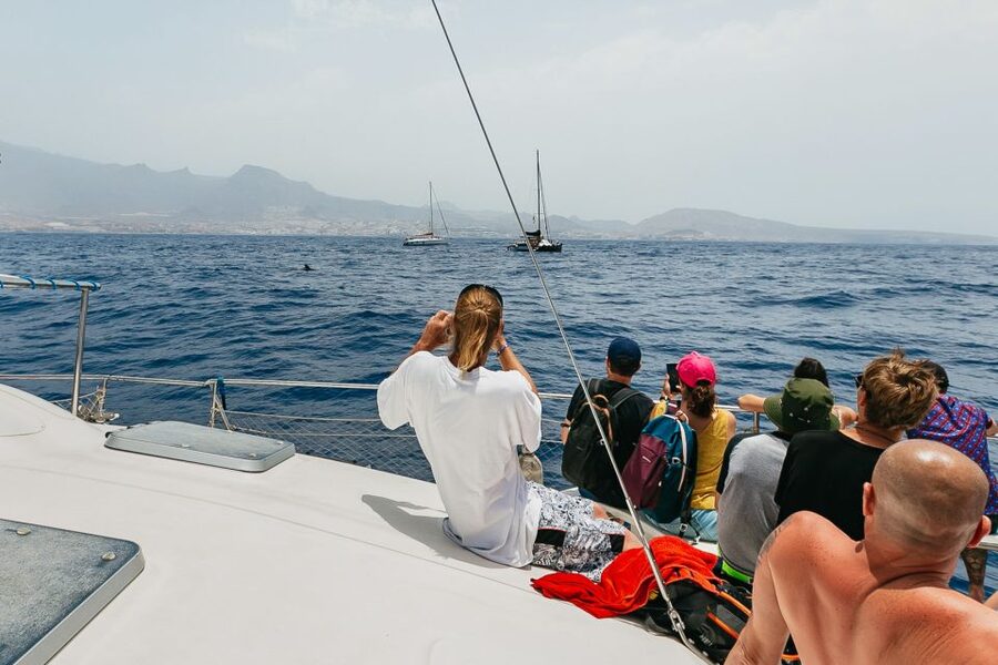 Costa Adeje: Whale Watching Catamaran Tour with Drinks - What the $41 price really buys you