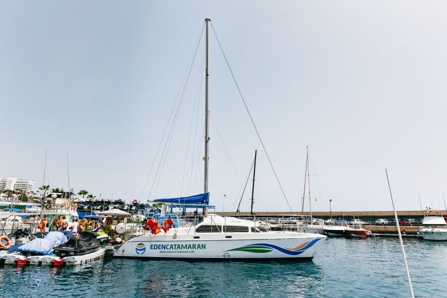 Costa Adeje: Whale Watching Catamaran Tour with Drinks - Who should book this catamaran?