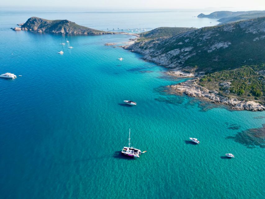 Côte d'Azur: Half-Day Coastline Catamaran Sailing Tour - Kayaks, paddles, and a choice of pace