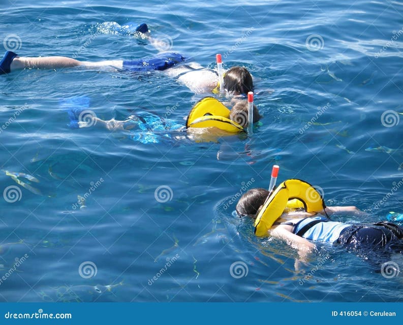 Crete: Snorkeling Boat Trip with Lunch and Transfer - What to bring for a comfortable half-day