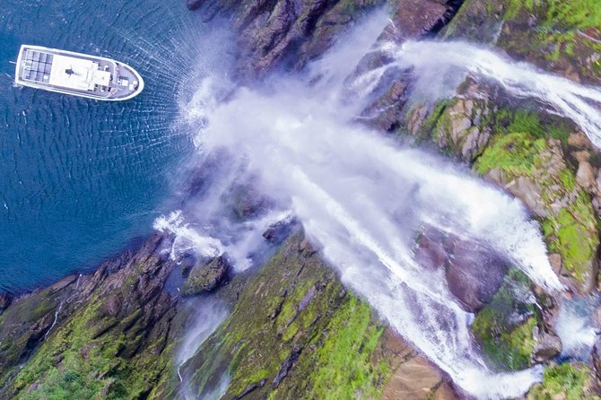 Cruise Milford NZ Small Boutique Cruise Experience - Key things to know before you go