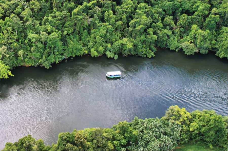 Daintree: River Rainforest Crocodile & Wildlife Cruise (DV) - Who will enjoy this cruise most?