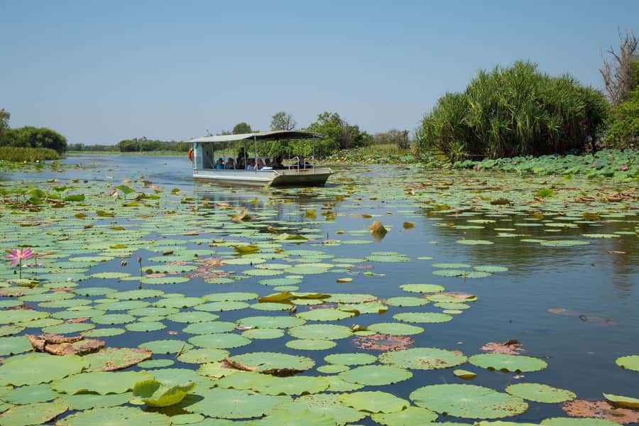 Darwin: Mary River Wetlands Wildlife Cruise with Lunch - Fogg Dam and the story behind the wetlands