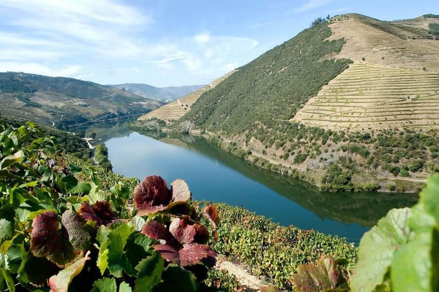 Day Cruise from Porto to Pinhão with Breakfast and Lunch - Price, comfort, and overall value