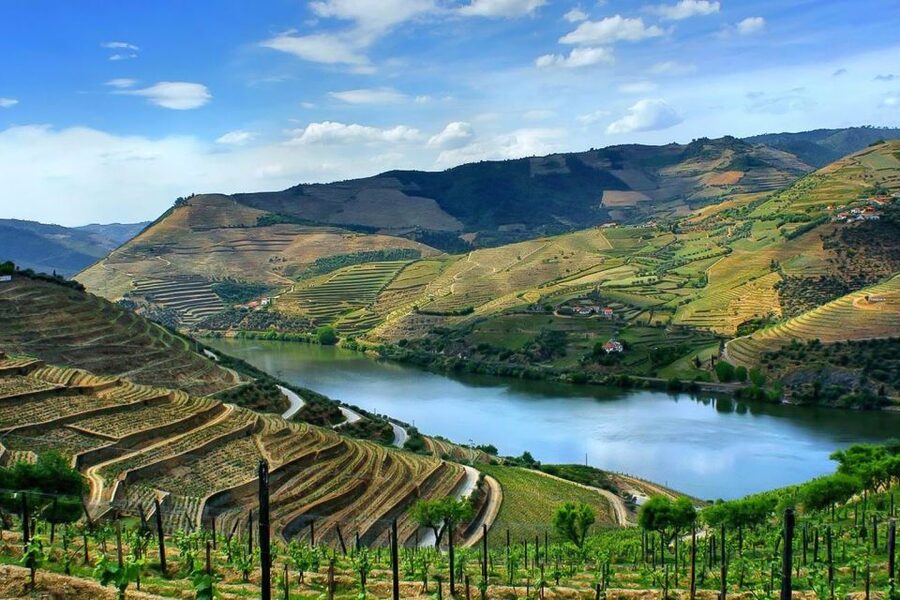 Day Cruise from Porto to Pinhão with Breakfast and Lunch - Who should book this Douro cruise?