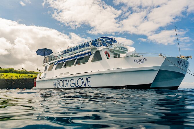 Deluxe Snorkel & Dolphin Watch Aboard a Luxury Catamaran from Kailua-Kona - Kailua Pier check-in at 7:30 a.m.