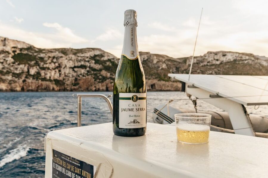 Dénia: Daytime or Sunset Catamaran Cruise - Useful Planning Details for Puerto Dénia
