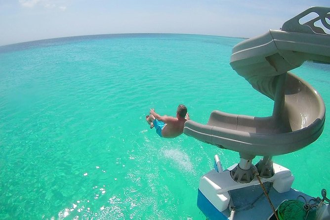 Dolphin Catamaran Snorkel and Sail with Open Bar - What Makes This Aruba Cruise Worth Considering