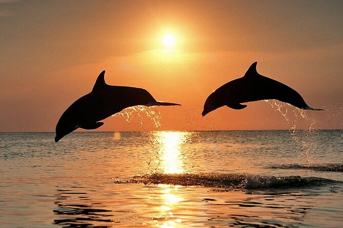 Dolphin Watching & Sunset Boat Tour With Dinner and Drinks - Starting across Pula Bay