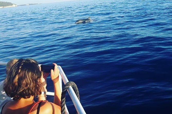 Dolphin Watching & Sunset Boat Tour With Dinner and Drinks - Dinner, drinks, and the sunset return