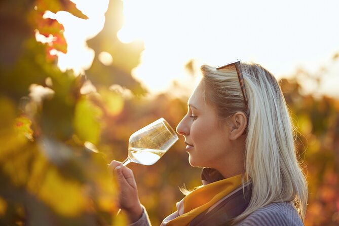 Douro Valley: Historical Sites, Wine Experience, Lunch & Cruise - The N222 and the road into Pinhão