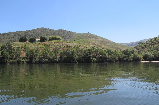 Douro Valley Tour: 2 Vineyard Visits, River Cruise, Winery Lunch - National Road 222 and the approach to Pinhão