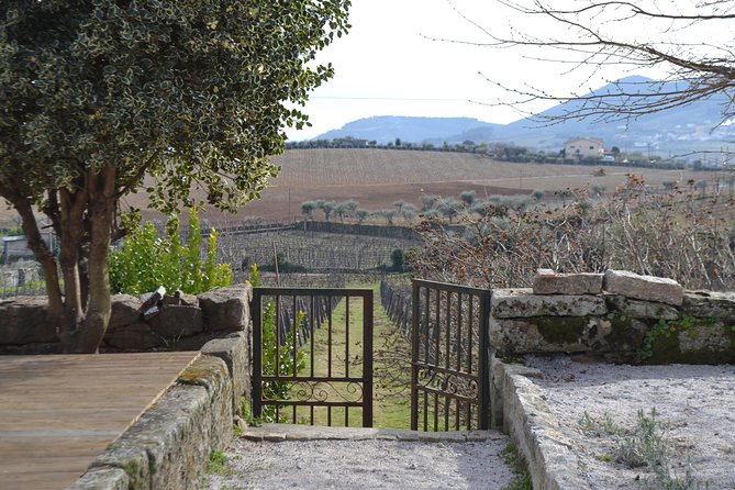 Douro Valley Tour: 2 Vineyard Visits, River Cruise, Winery Lunch - Sabrosa, a four-course winery lunch, and port