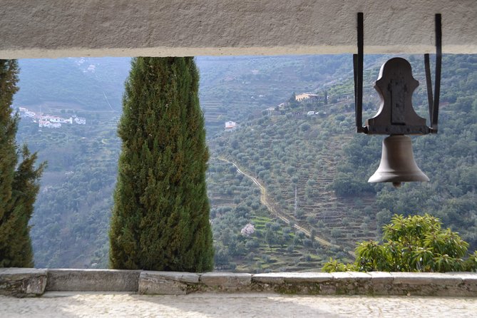 Douro Valley Tour: 2 Vineyard Visits, River Cruise, Winery Lunch - Wine tasting for beginners and experienced drinkers