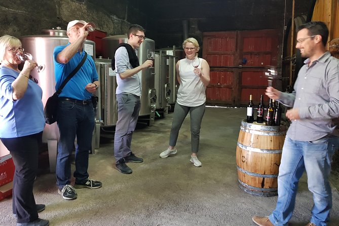 Douro Valley Tour: 2 Vineyard Visits, River Cruise, Winery Lunch - Lamego and the first family winery