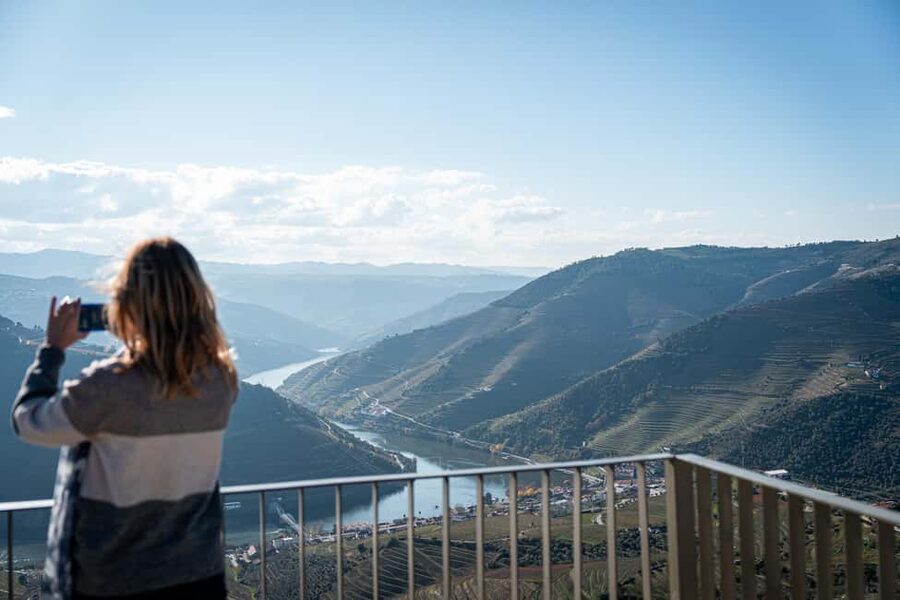 Douro Valley Tour: Visit 2 Wineries, Lunch & River Cruise - Who should book this Douro Valley tour?