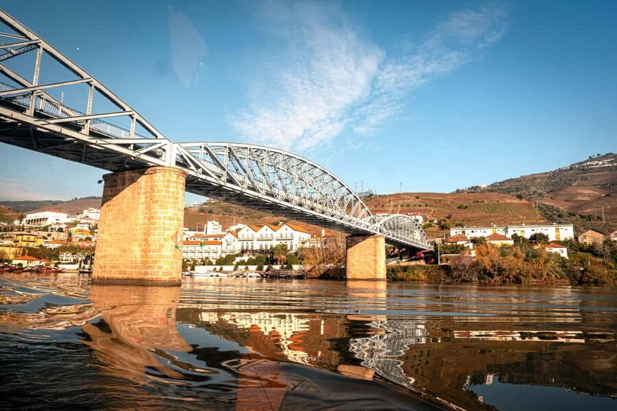 Douro Valley Tour: Visit 2 Wineries, Lunch & River Cruise - The first wine estate: learning how Douro wine begins