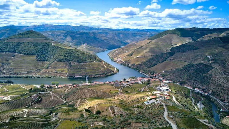 Douro Valley Tour: Visit 2 Wineries, Lunch & River Cruise - The second estate: Port, cellars, and a different wine story